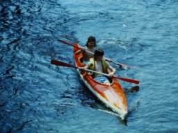 0DIA 1988 RAVA B1